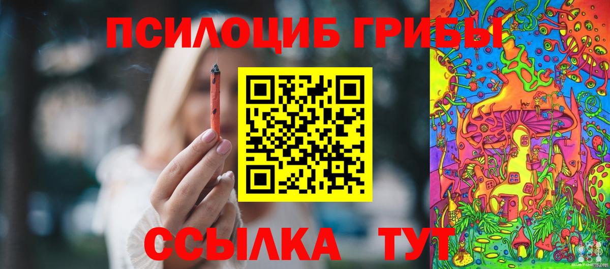 как найти наркотики  Галлюциногенные грибы мицелий  Вход с VPN  Тверь  Галлюциногенные грибы мухоморы 